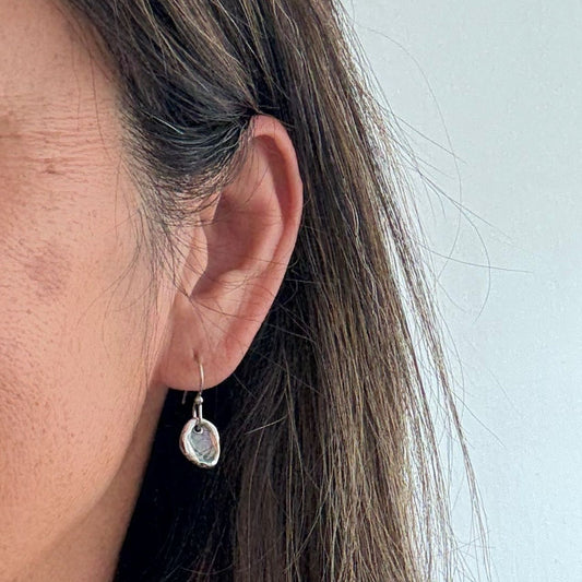 Farm Paua Shell Hook Earrings (Silver Back)