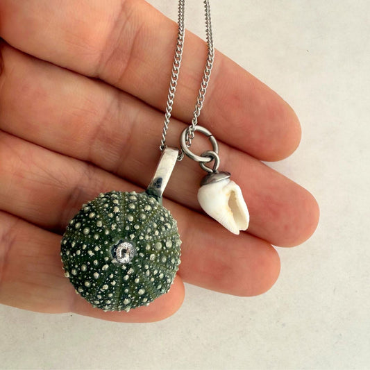 Shell Story Necklace: Whole Kina And Tiny Whelk Pair (Silver)