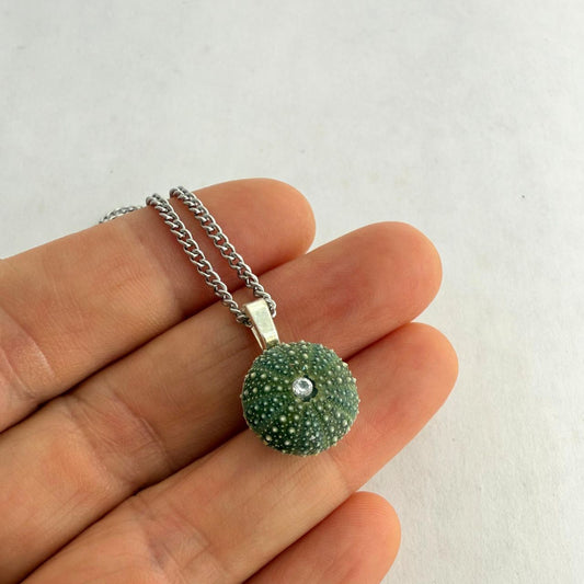 Juvenile Whole Kina Shell 10-15mm Necklace (Silver Bail) - Samples & Seconds