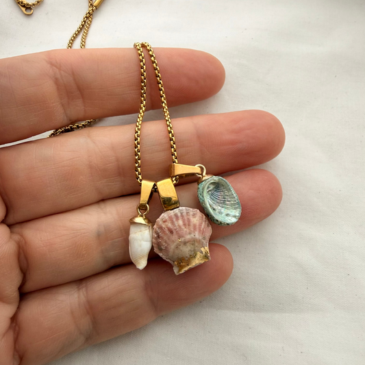 Shell Story Trio Necklace — Whelk, Scallop & Pāua