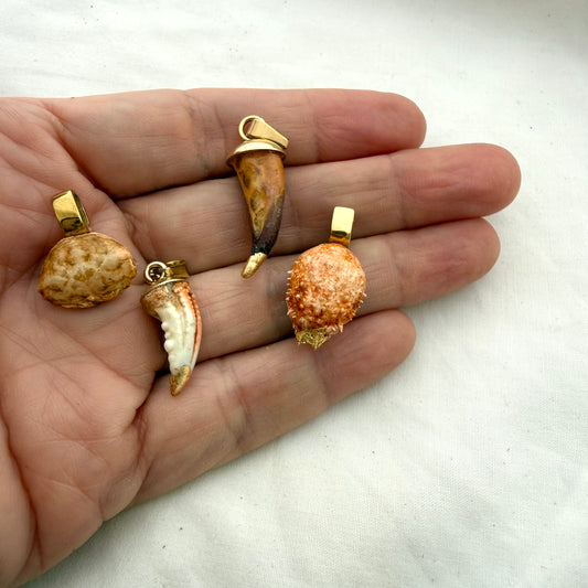 Clawed Creature Charms