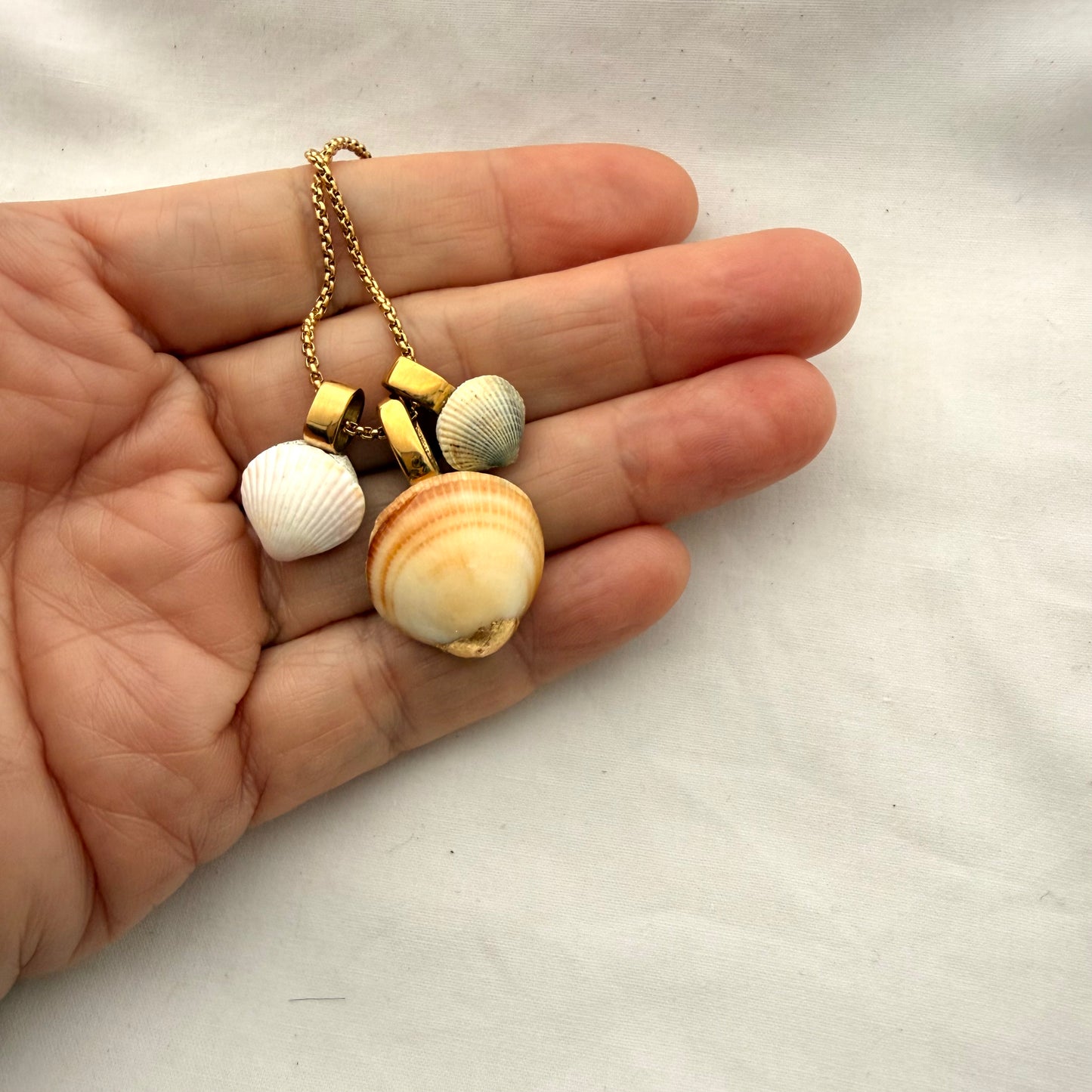 Shell Story Trio Necklace | The Clam Clan