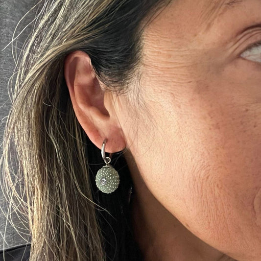 Whole Kina Shell Round Hoops Earrings