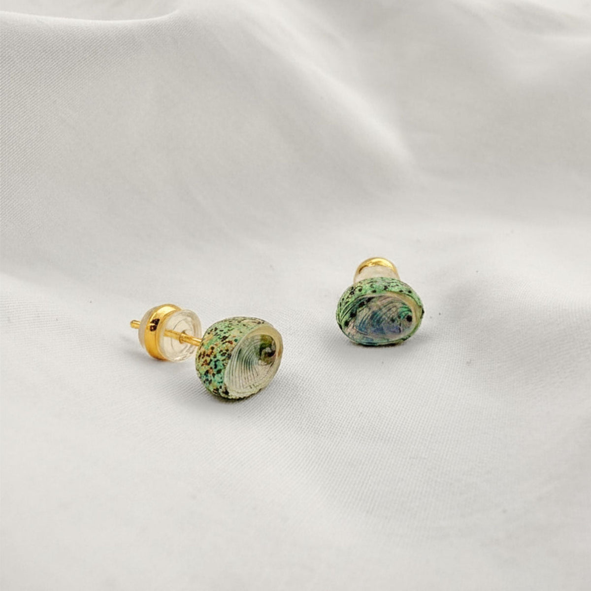 Paua shell stud earrings in micro-suede gift pouch