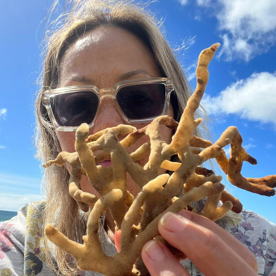 Yesterday’s session at Taupo Bay started with some coral beachcombing
