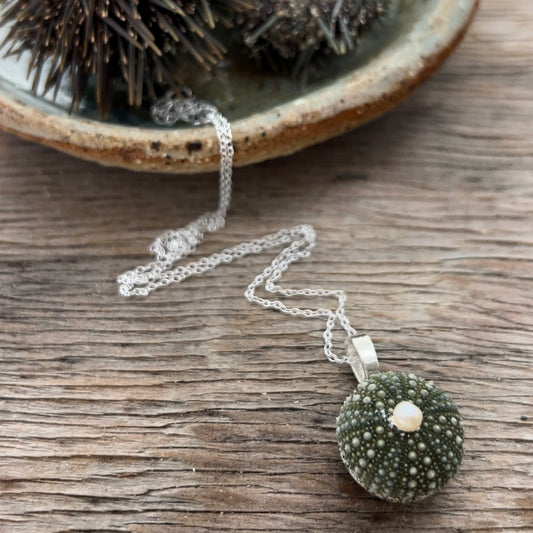 Watch Me Make A Baby Kina Sea Urchin Necklace