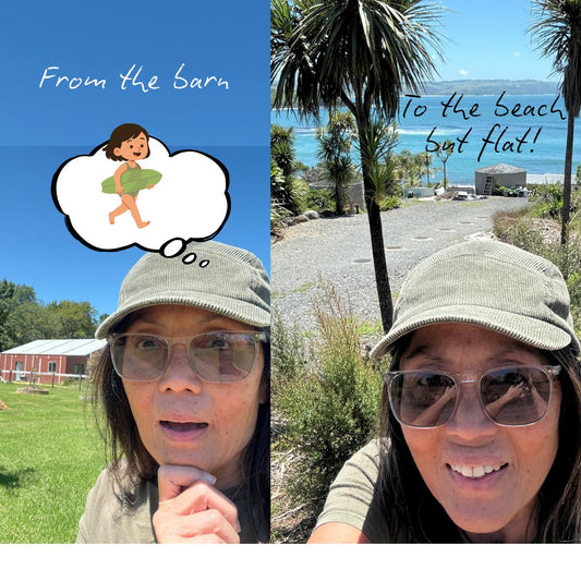 Well I needed a break from the barn today.