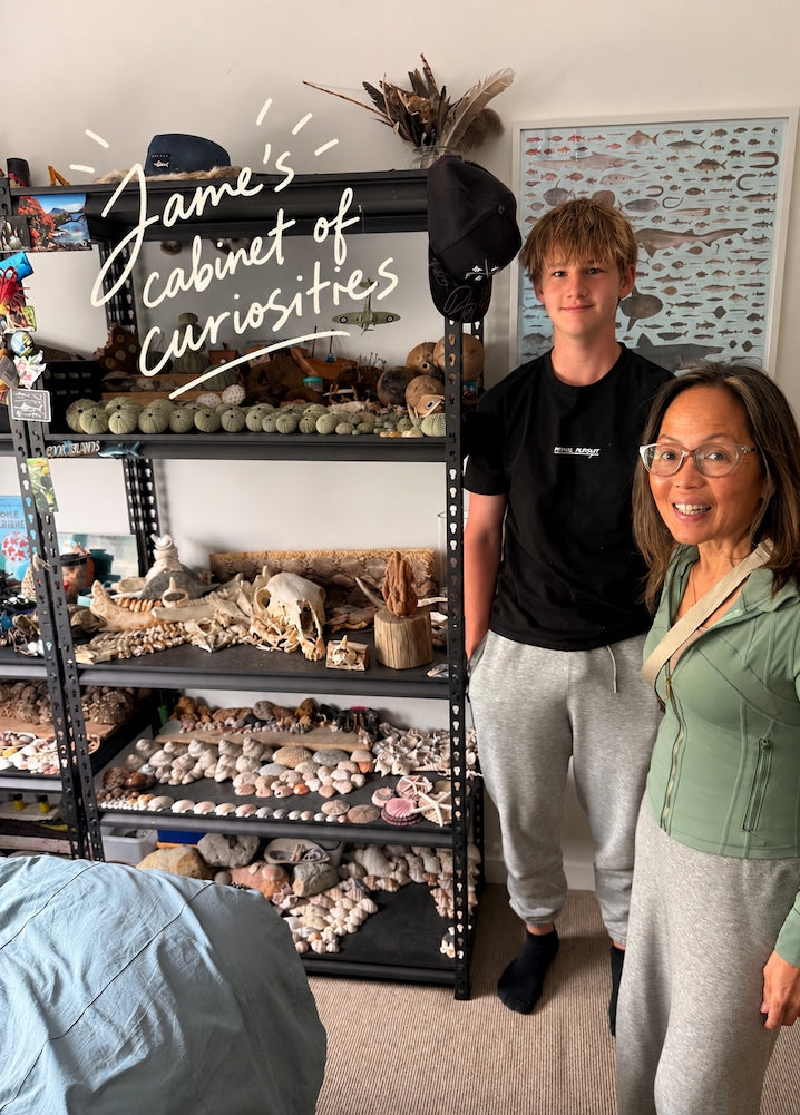 A Young Lad's Cabinet of Curiosities