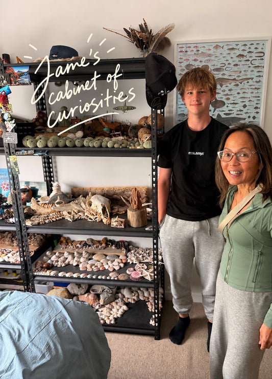 A Young Lad's Cabinet of Curiosities