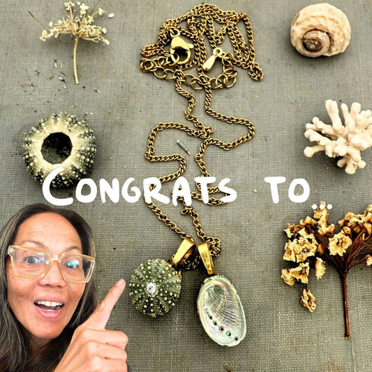 🎉 This month’s giveaway winner 🎉