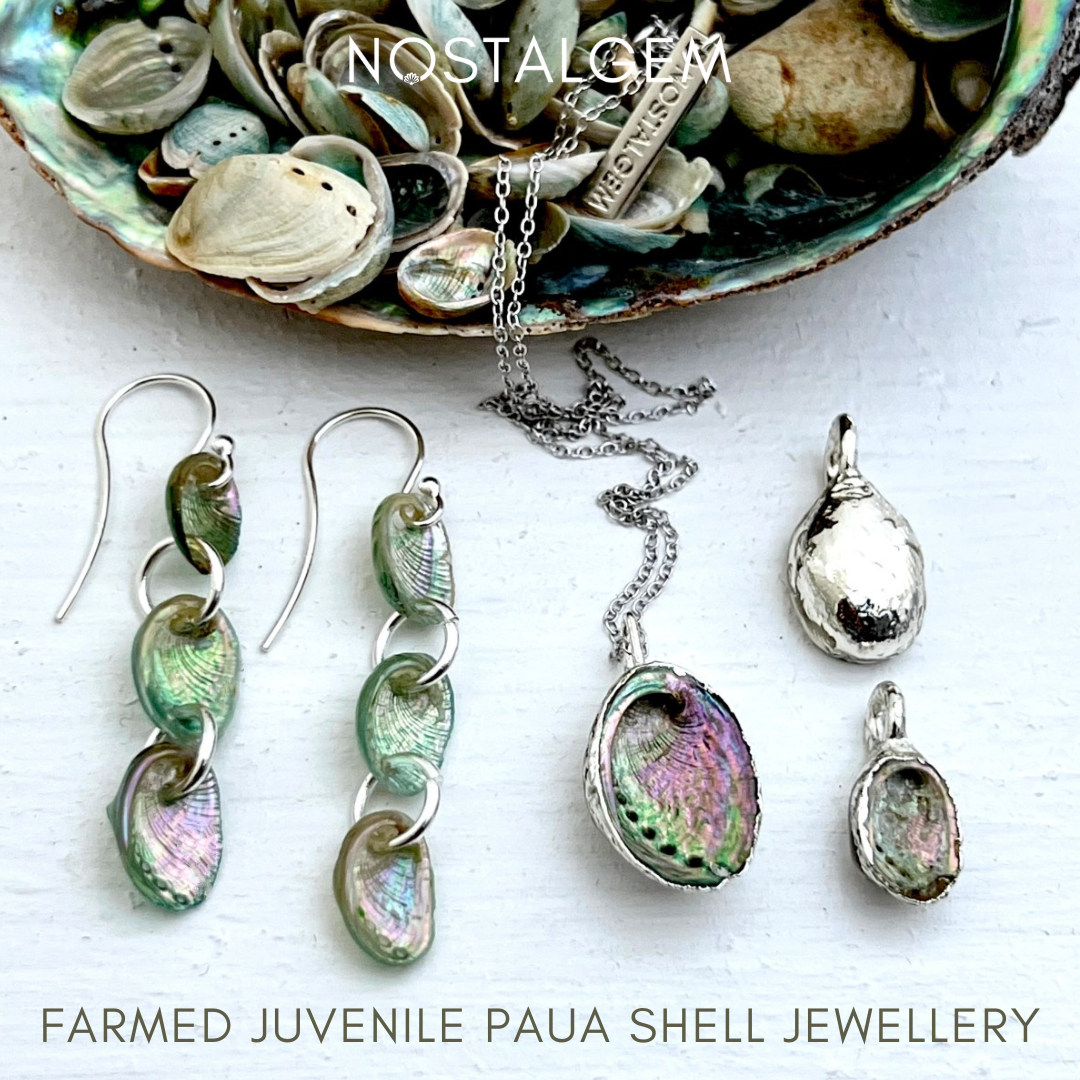 Paua Jewellery