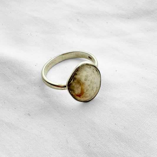 Tawera Shell Sterling Silver Adjustable Ring