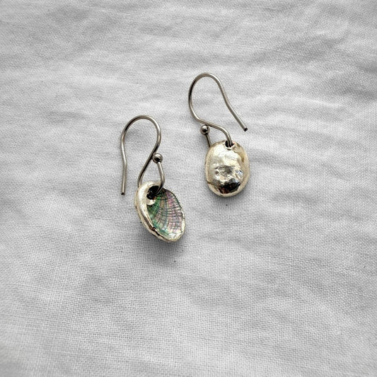 Tiny Paua Shell Drop Earrings