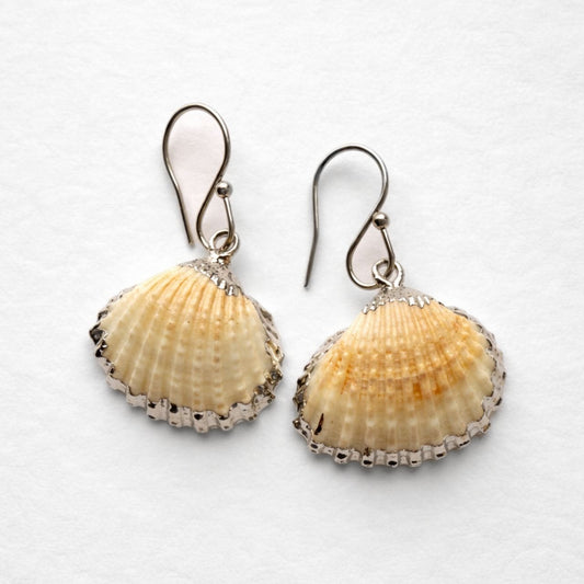 Warm The Cockles Of Your Heart Shell Earrings