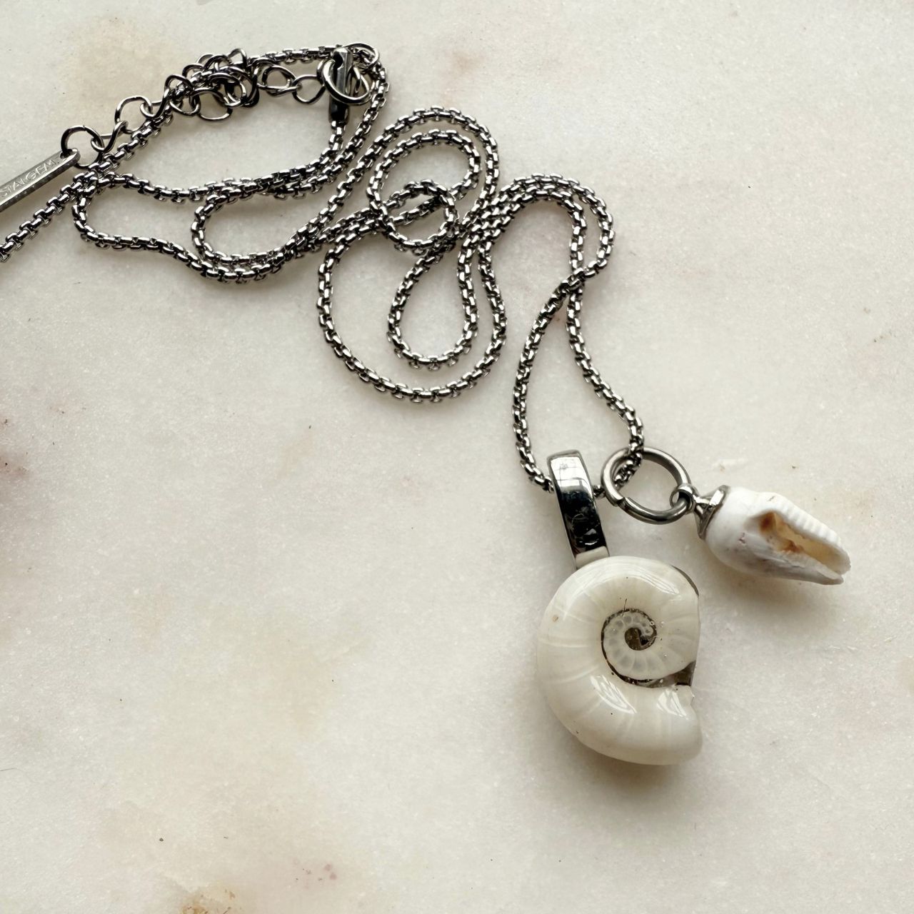 Mother & Child Shell Story Necklace: Ram's Horn + Whelk (Silver)