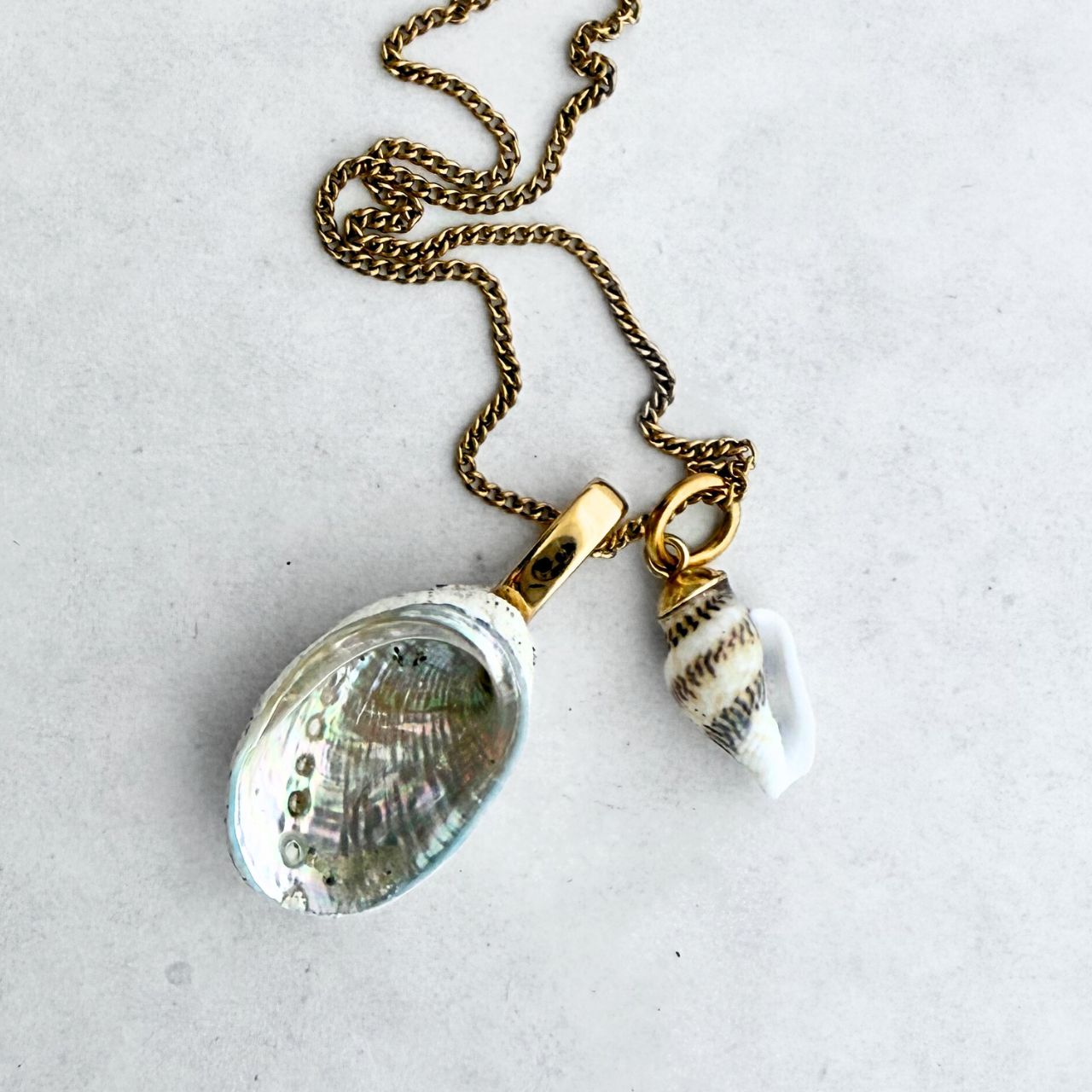 Shell Story Necklace: Paua And Tiny Whelk Pair (Gold)