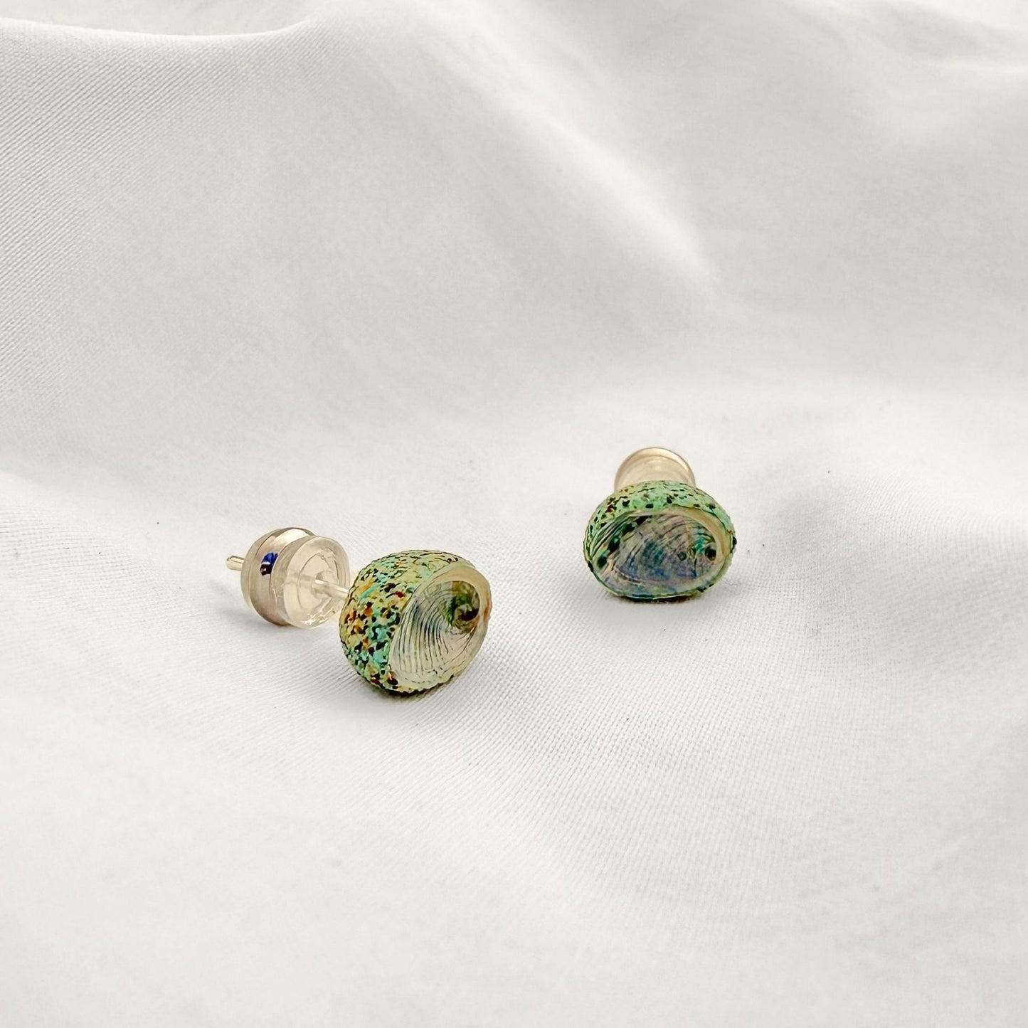 Paua Shell Stud Earrings