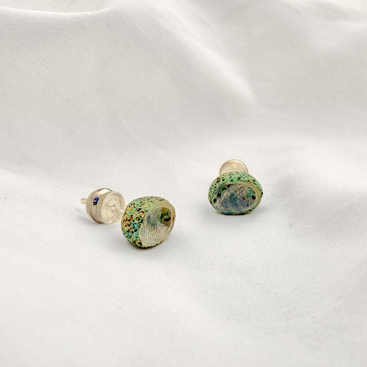 Paua Shell Stud Earrings