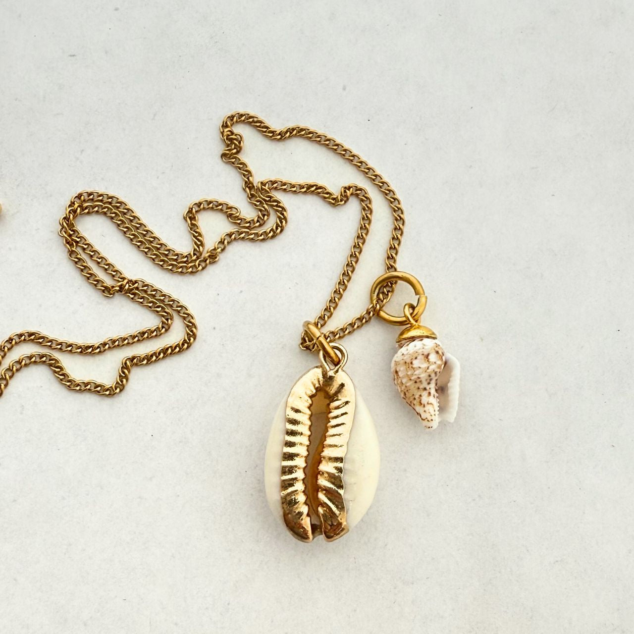 Gilded Edge Cowrie & Small Whelk Shell Story Necklace