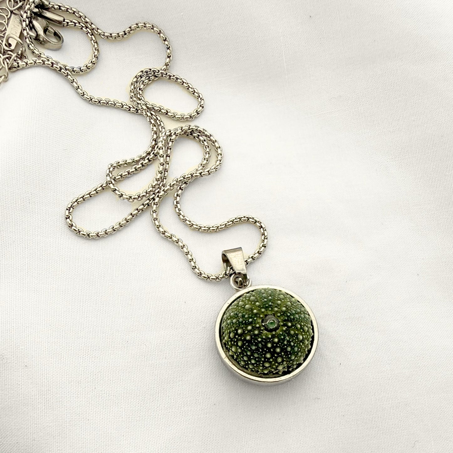 Whole Kina Round Setting Pendant (Silver)