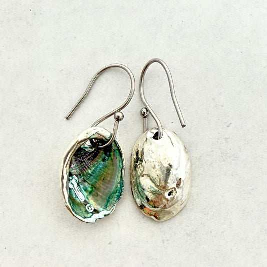 Farm Paua Shell Hook Earrings (Silver Back)