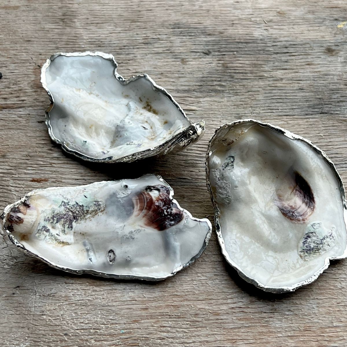 Oyster Shell Silver Gilded Jewellery Dish x 1