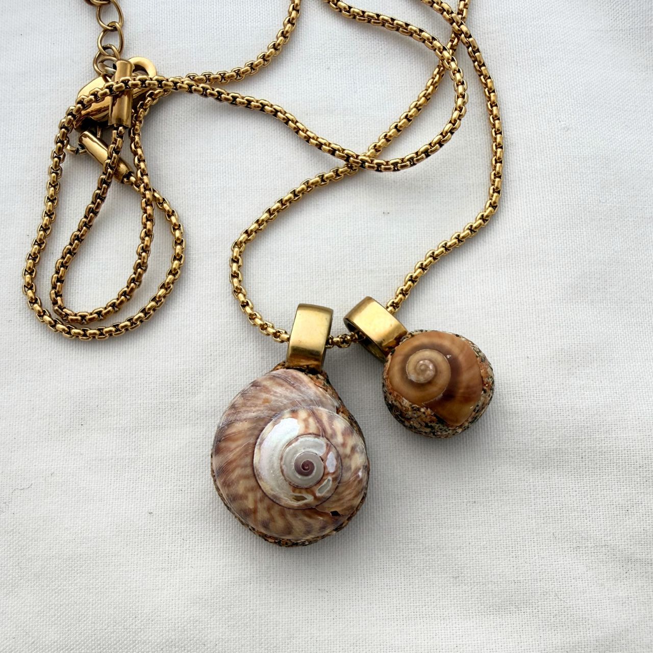 Pinwheel Pair Shell Story Necklace (Gold)
