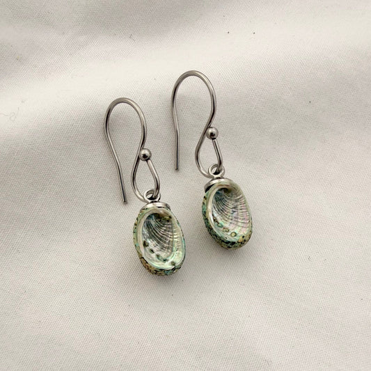Paua Shell Dangle Hook Earrings