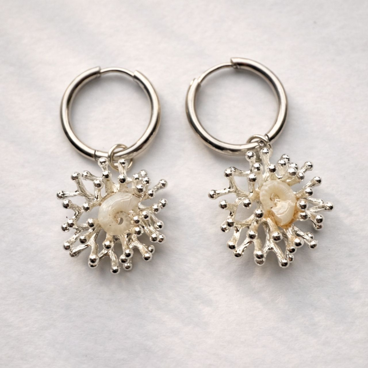 Tiny Ram's Horn Squid Shell Coral Nest Earrings