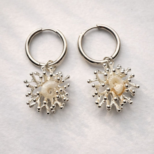Tiny Ram's Horn Squid Shell Coral Nest Earrings