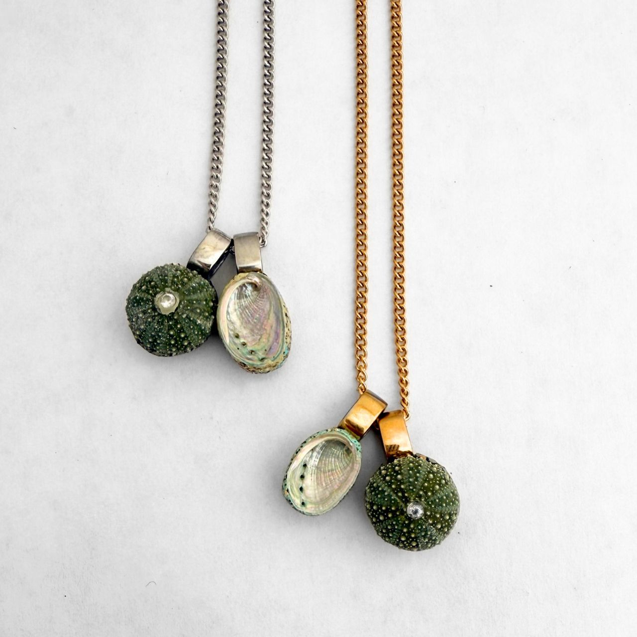 Paua & Kina Shell Pair Necklace (BEST SELLER) - Curb chain