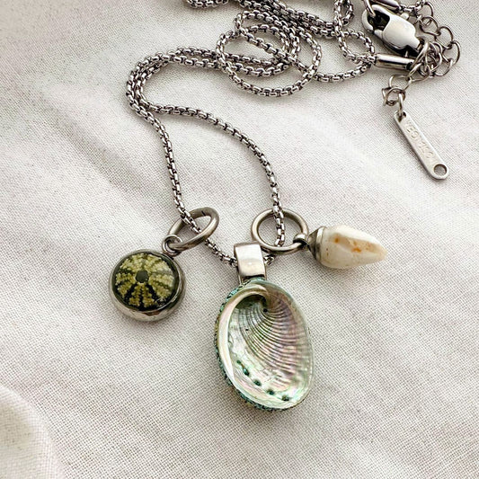 Whānau Shell Story Necklace: Kina, Paua & Whelk