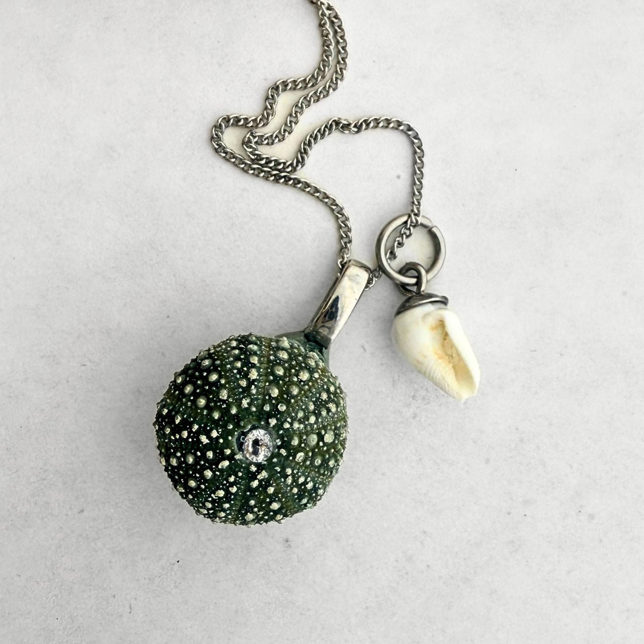 Shell Story Necklace: Whole Kina And Tiny Whelk Pair (Silver)