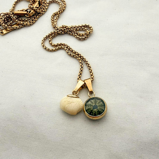Shell Story Necklace: Tiny Cockle & Kina Shell Necklace