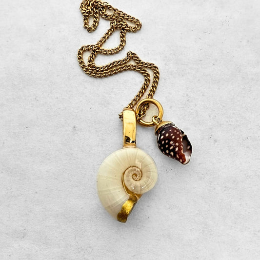 Ram's Horn & Spotted Whelk Shell Story Necklace