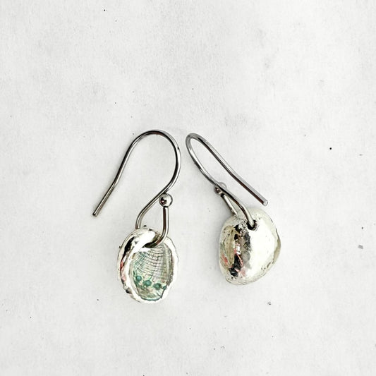 Farm Paua Shell Hook Earrings (Silver Back)