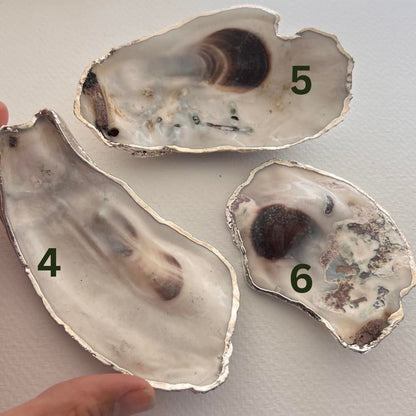 Oyster Shell Gilded Jewellery Dish