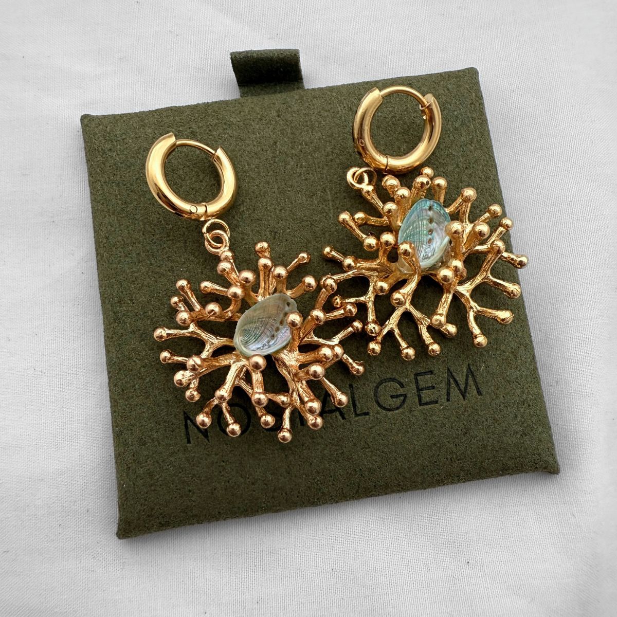 Paua in Coral Gold Hoop Earrings