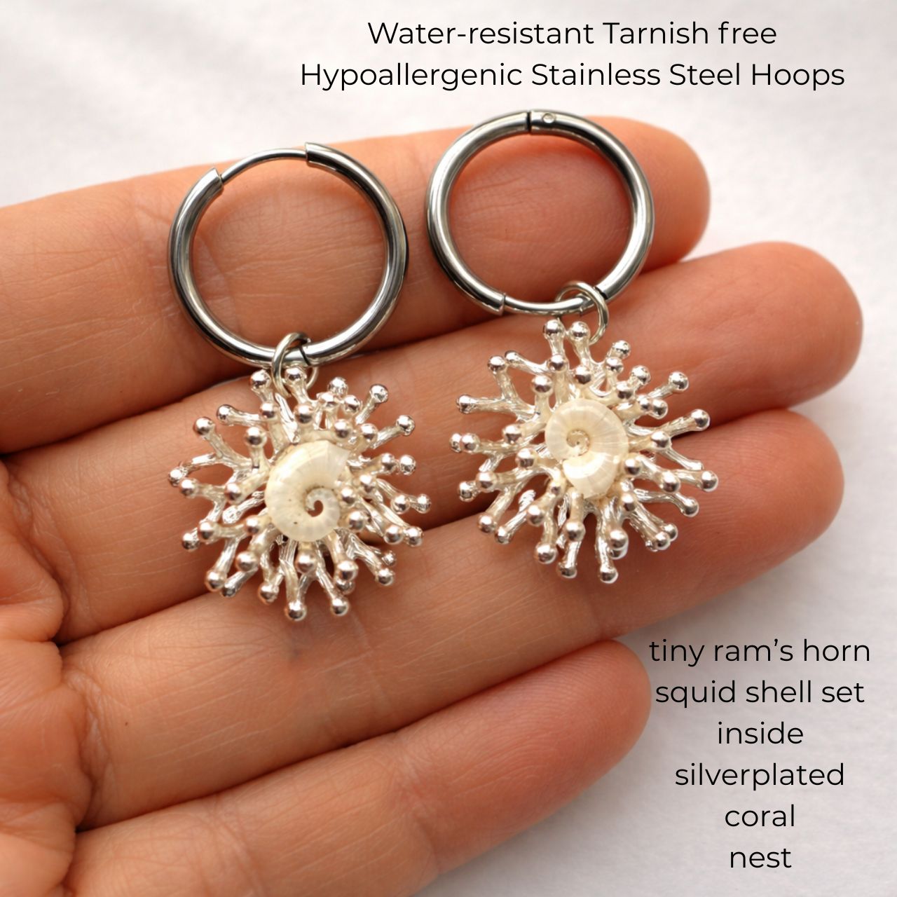 Tiny Ram's Horn Squid Shell Coral Nest Earrings