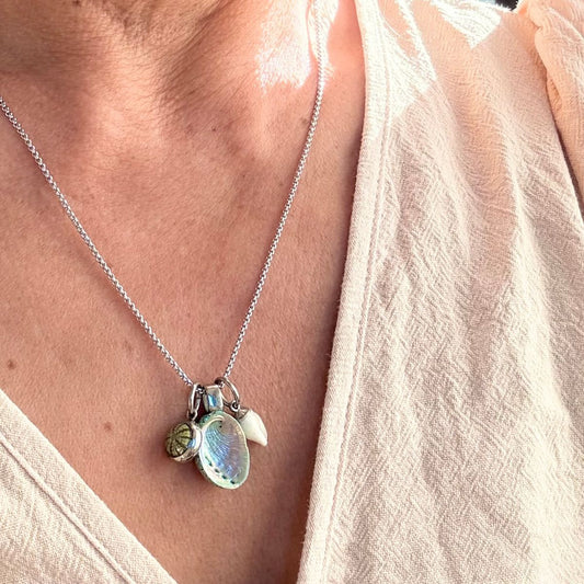 Whānau Shell Story Necklace: Kina, Paua & Whelk