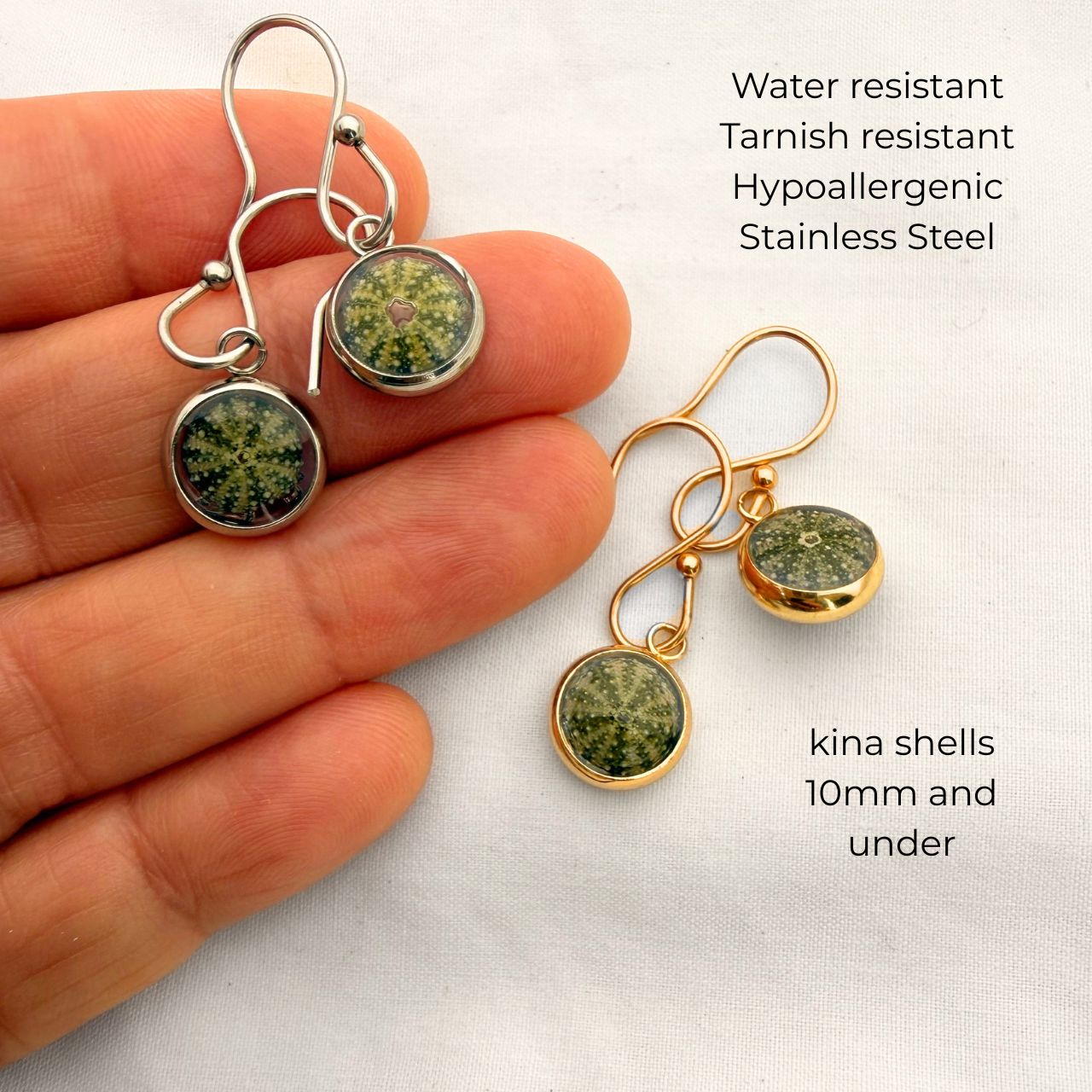Tiny Kina Shell Dangle Earrings
