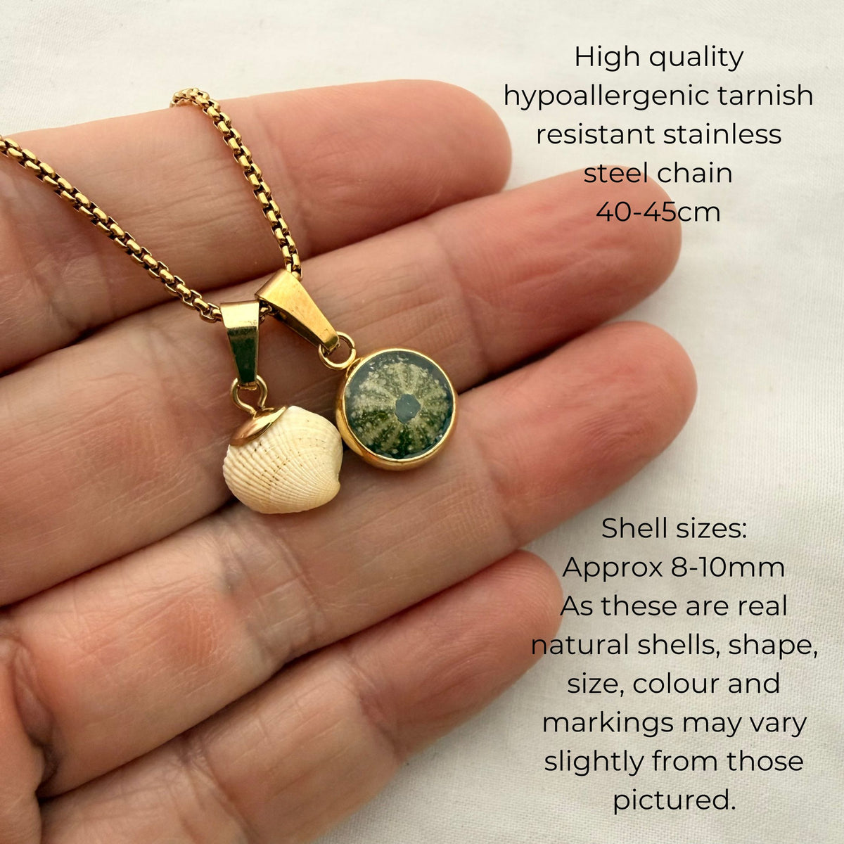 Shell Story Necklace: Tiny Cockle & Kina Shell Necklace