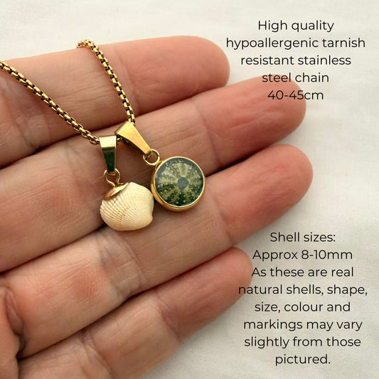 Shell Story Necklace: Tiny Cockle & Kina Shell Necklace