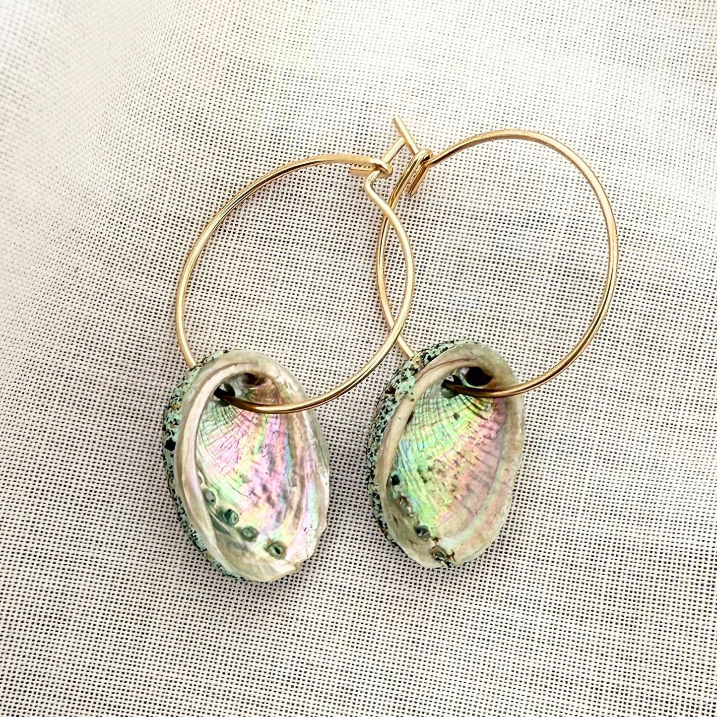 Paua Shell Hoop Earrings (Beachsand Stone)