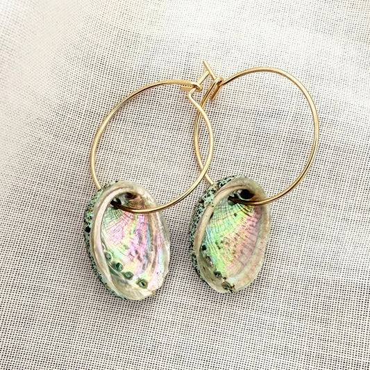 Paua Shell Hoop Earrings (Beachsand Stone)