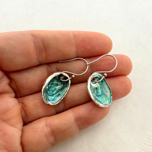 Farm Paua Shell Hook Earrings (Silver Back)