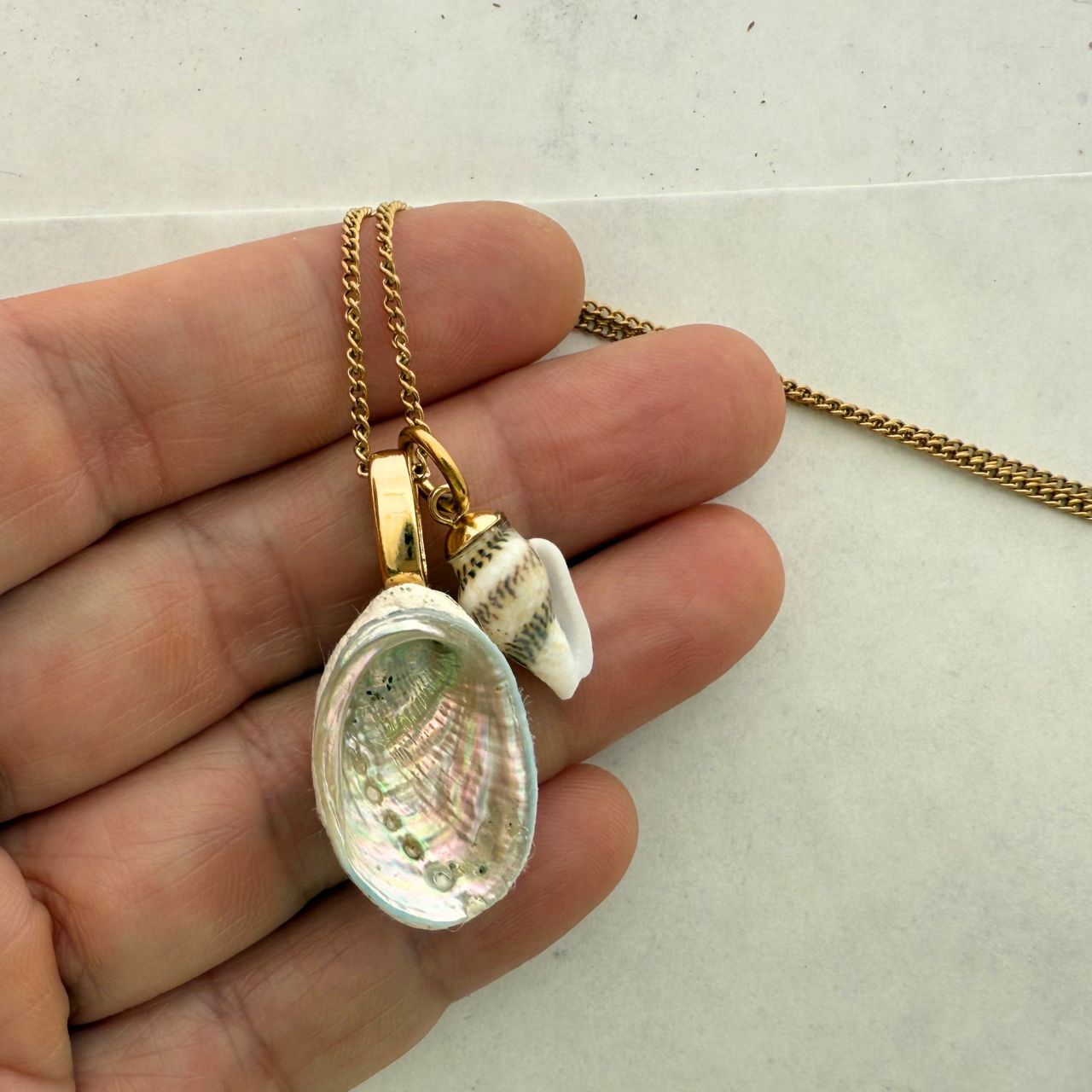 Shell Story Necklace: Paua And Tiny Whelk Pair (Gold)