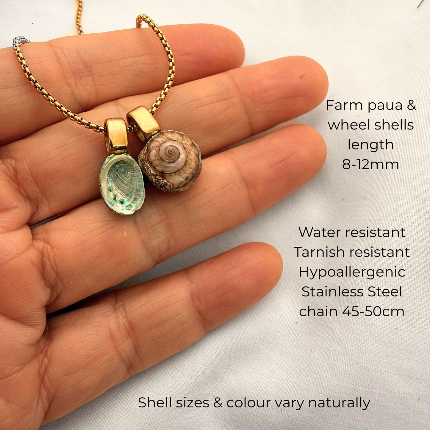 Pāua & Koru Wheel Shell Pair Necklace