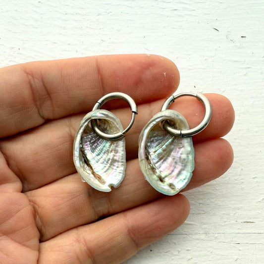 Paua Shell 20-25mm Hoops