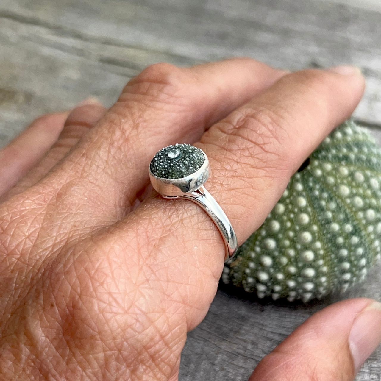 Tiny Whole Kina Shell (8-10mm) Sterling Silver Adjustable Ring